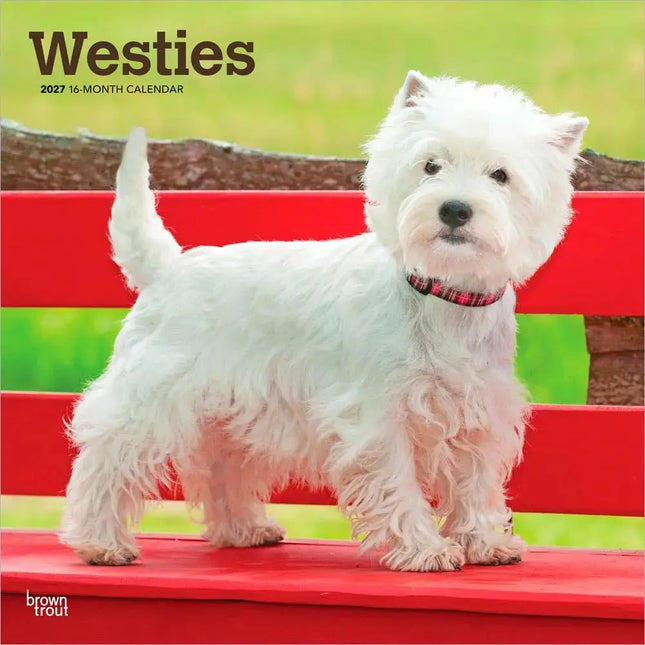 Browntrout West Highland White Terrier Kalender 2027
