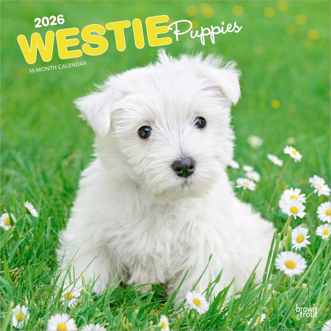 Browntrout West Highland White Terrier Puppies Kalender 2026