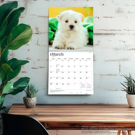 Browntrout West Highland White Terrier Puppies Kalender 2027