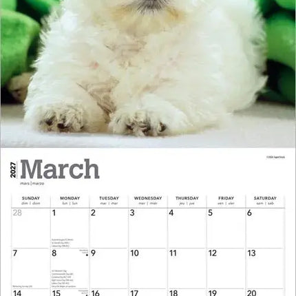 Browntrout West Highland White Terrier Puppies Kalender 2027