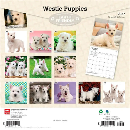 Browntrout West Highland White Terrier Puppies Kalender 2027