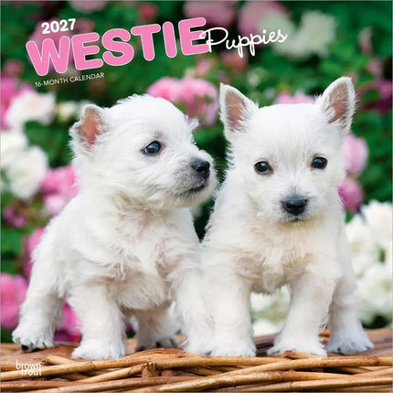 Browntrout West Highland White Terrier Puppies Kalender 2027