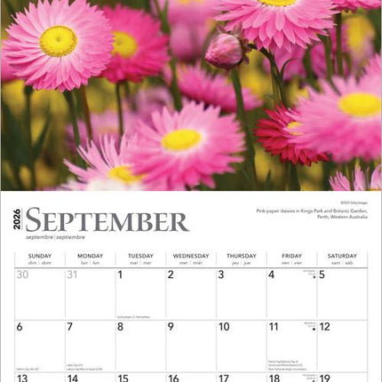 Browntrout Wild Flowers Kalender 2026