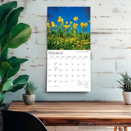 Browntrout Wildflowers Kalender 2027
