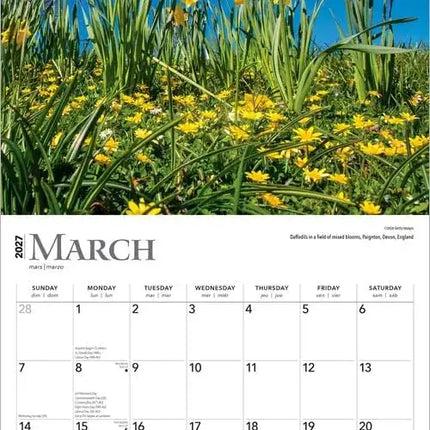 Browntrout Wildflowers Kalender 2027