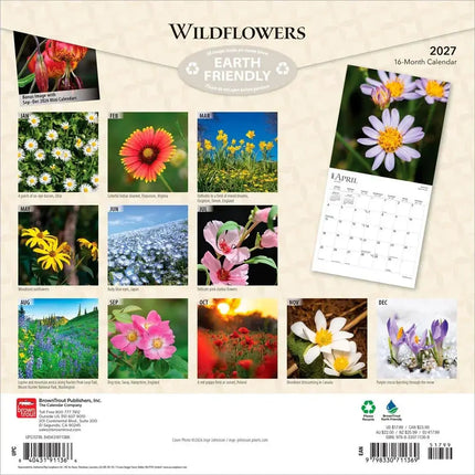 Browntrout Wildflowers Kalender 2027