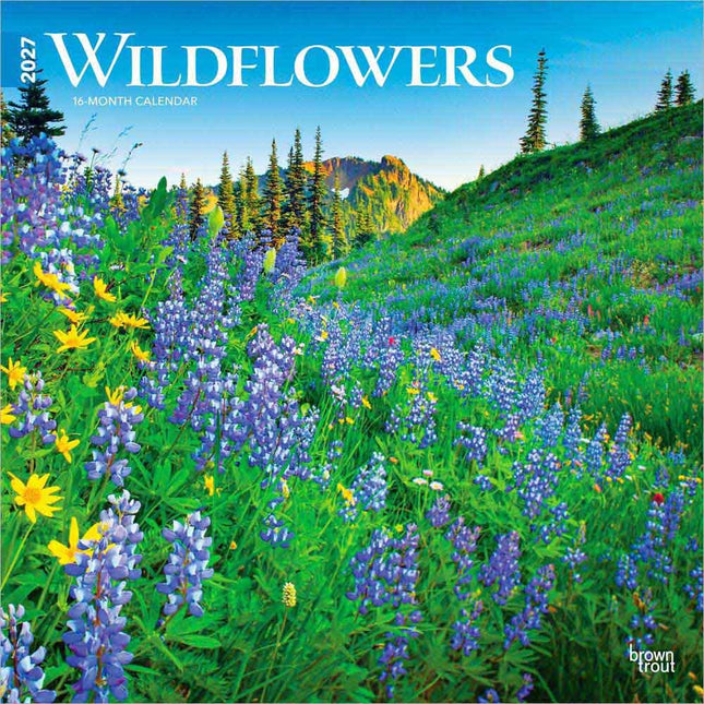 Browntrout Wildflowers Kalender 2027