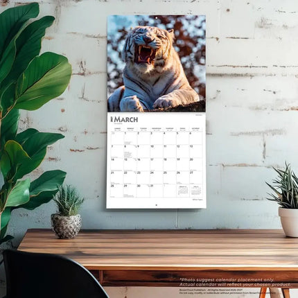 Browntrout Witte Tijger Kalender 2027