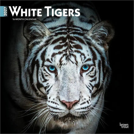 Browntrout Witte Tijger Kalender 2027