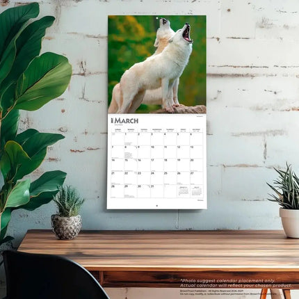 Browntrout Wolven Kalender 2027
