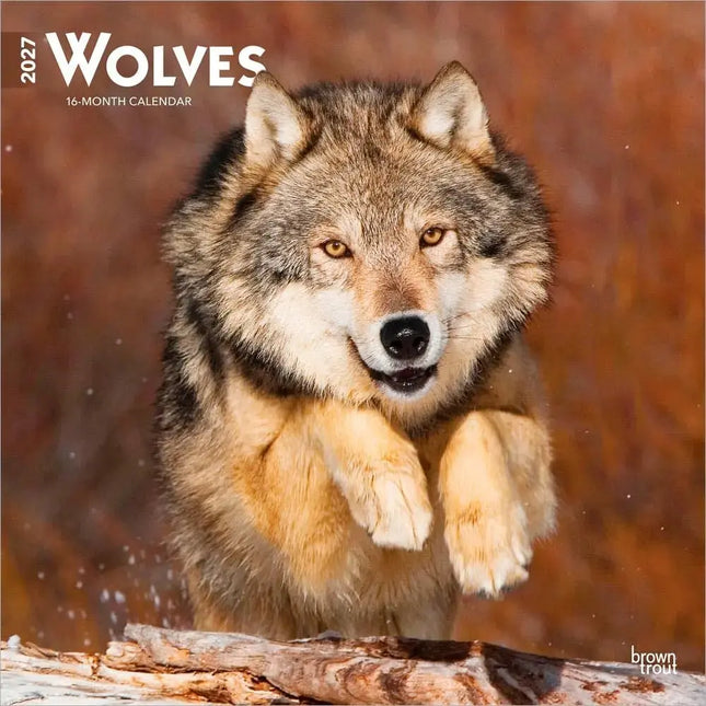 Browntrout Wolven Kalender 2027