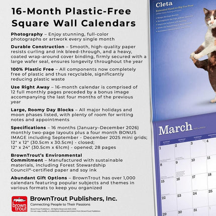 Browntrout Yoga Cats Kalender 2026