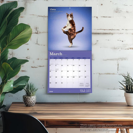 Browntrout Yoga Cats Kalender 2026