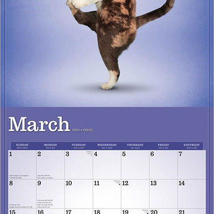 Browntrout Yoga Cats Kalender 2026