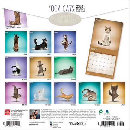Browntrout Yoga Cats Kalender 2026