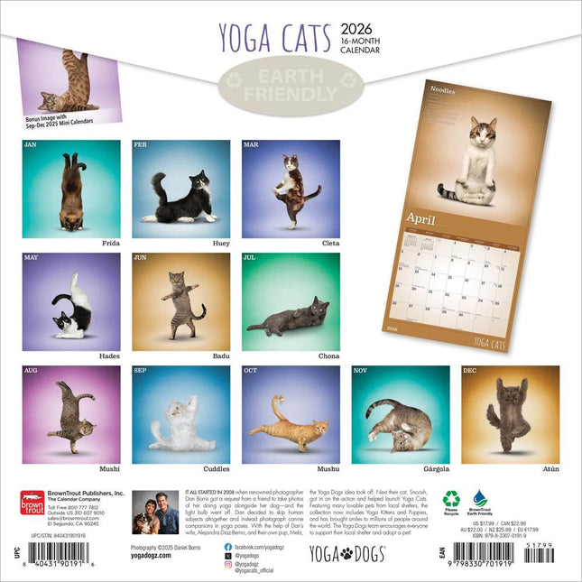 Browntrout Yoga Cats Kalender 2026