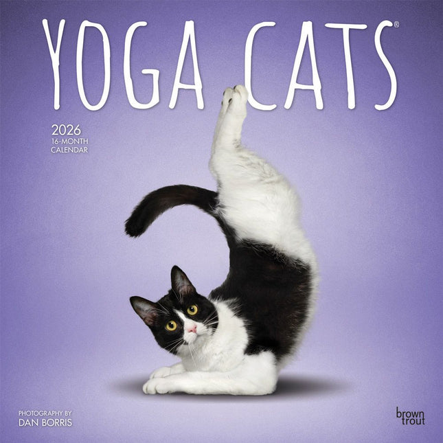 Browntrout Yoga Cats Kalender 2026