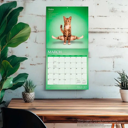 Browntrout Yoga Cats Kalender 2027