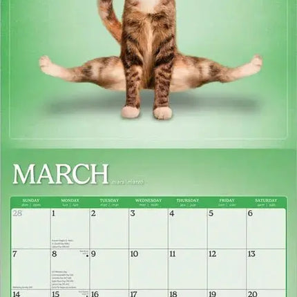 Browntrout Yoga Cats Kalender 2027