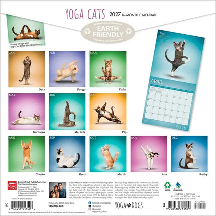 Browntrout Yoga Cats Kalender 2027