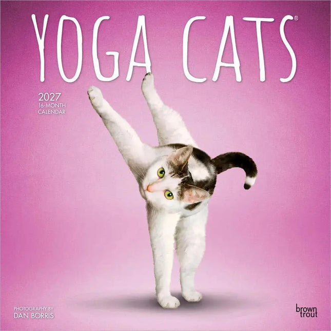Browntrout Yoga Cats Kalender 2027