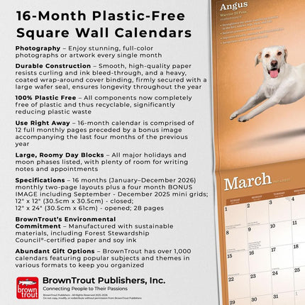 Browntrout Yoga Dogs Kalender 2026