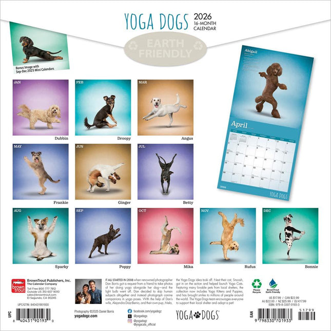 Browntrout Yoga Dogs Kalender 2026