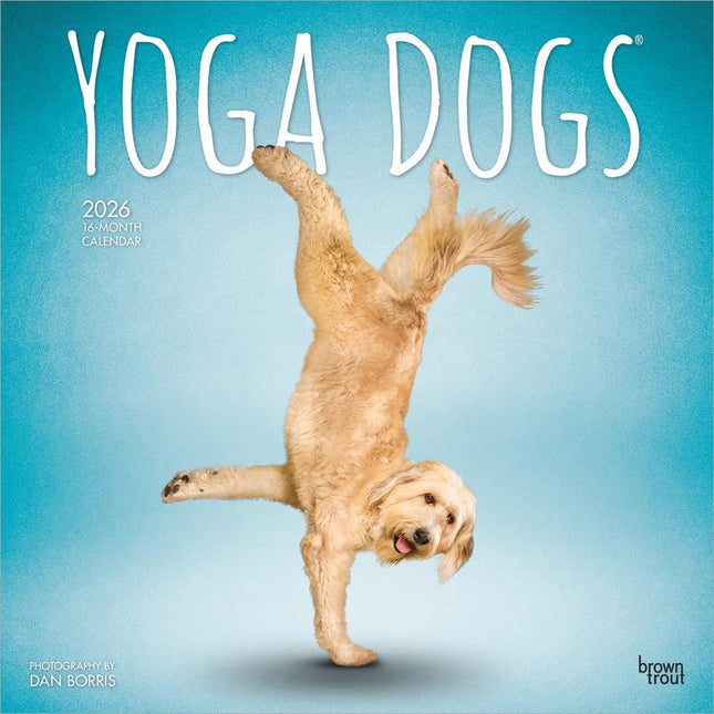 Browntrout Yoga Dogs Kalender 2026