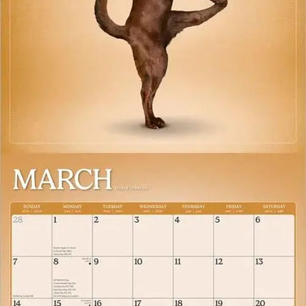 Browntrout Yoga Dogs Kalender 2027