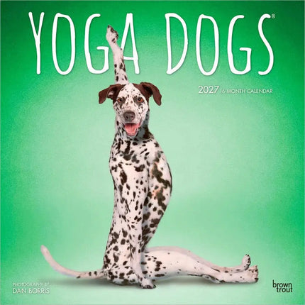 Browntrout Yoga Dogs Kalender 2027