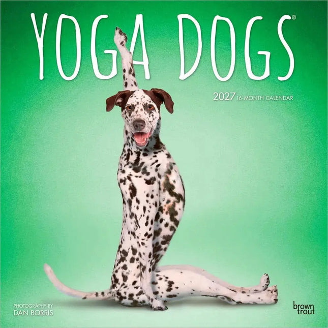 Browntrout Yoga Dogs Kalender 2027