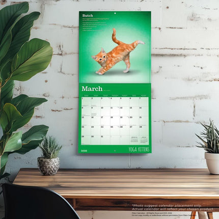 Browntrout Yoga Kittens Kalender 2026