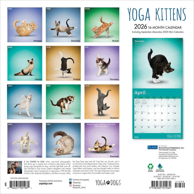 Browntrout Yoga Kittens Kalender 2026