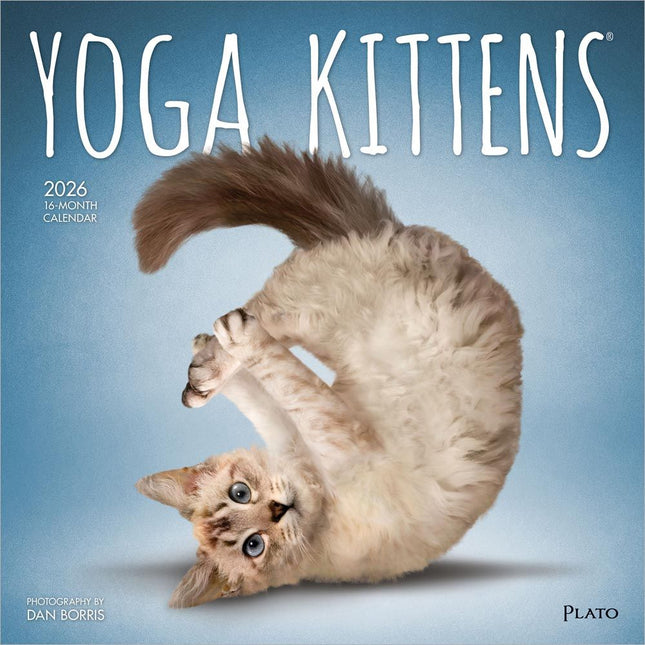 Browntrout Yoga Kittens Kalender 2026