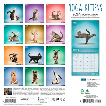 Browntrout Yoga Kittens Kalender 2027