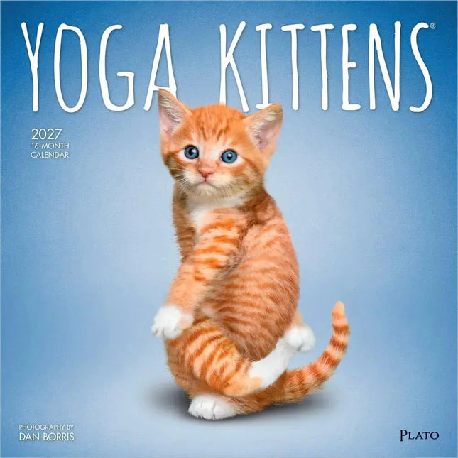 Browntrout Yoga Kittens Kalender 2027