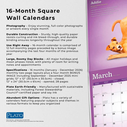 Browntrout Yoga Puppies Kalender 2026