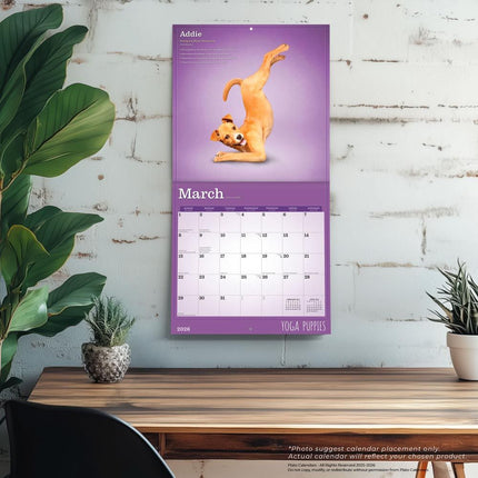Browntrout Yoga Puppies Kalender 2026