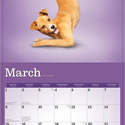 Browntrout Yoga Puppies Kalender 2026