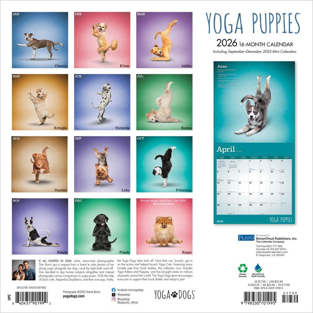 Browntrout Yoga Puppies Kalender 2026