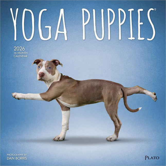 Browntrout Yoga Puppies Kalender 2026
