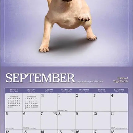 Browntrout Yoga Puppies Kalender 2027