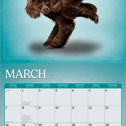 Browntrout Yoga Puppies Kalender 2027