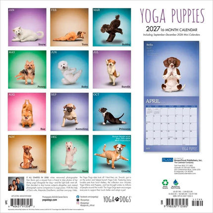 Browntrout Yoga Puppies Kalender 2027