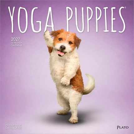 Browntrout Yoga Puppies Kalender 2027