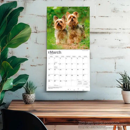 Browntrout Yorkshire Terrier Kalender 2027