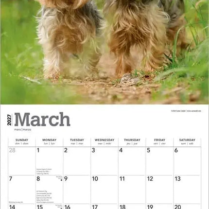 Browntrout Yorkshire Terrier Kalender 2027