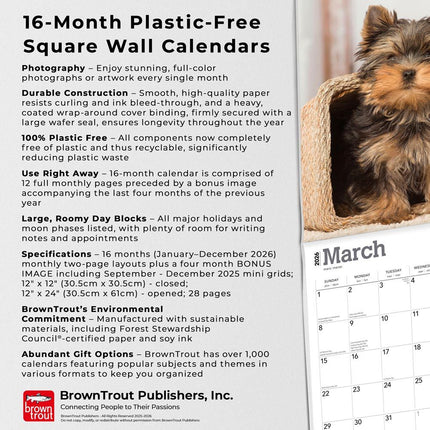 Browntrout Yorkshire Terrier Puppies Kalender 2026