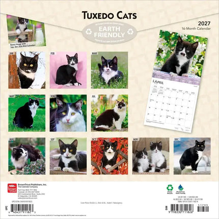 Browntrout Zwart Wit Katten Kalender 2027