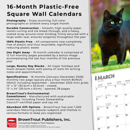 Browntrout Zwarte Katten Kalender 2026